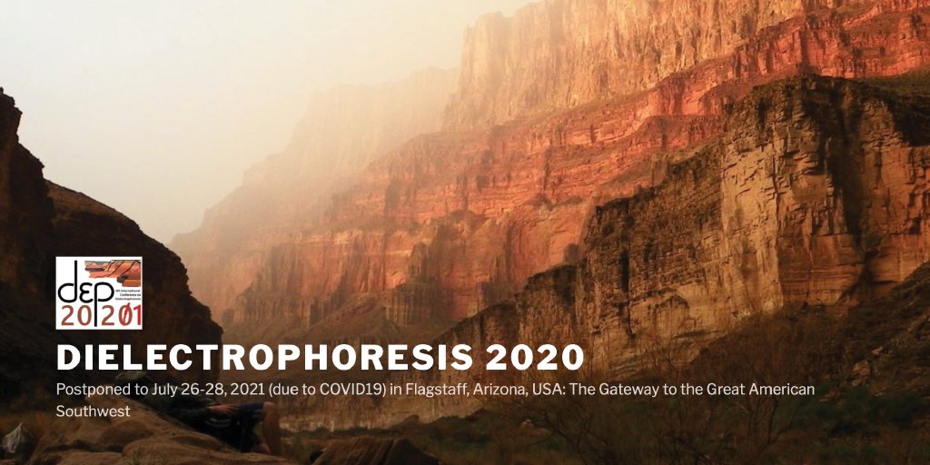 Dear Colleagues,
Due to the continuing and unprecedented disruptions worldwide caused by COVID-19, the Dielectrophoresis 2020 conference has been postponed until next year. The new conference dates are:
July 26-28, 2021
in Flagstaff, Arizona, USA
More info to come.