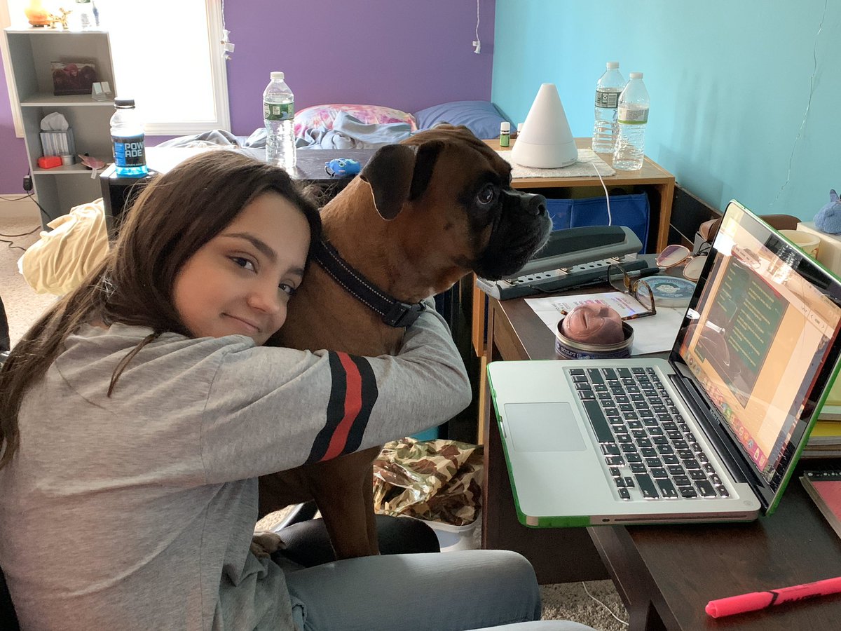 l_richard000's tweet photo. 🐶❤️Homework Helper❤️🐶
Performing may have halted but school never does 🙄
#corona2020 #virtualschoolnobreakforme #lhanarichard #lhanarichardperformer #triplethreat #kidperformer #kidactor #kidactorslife #actorslife #theatrelife #theatrekid #theatreismysport #performingismysport https://t.co/6bZPXQc79I