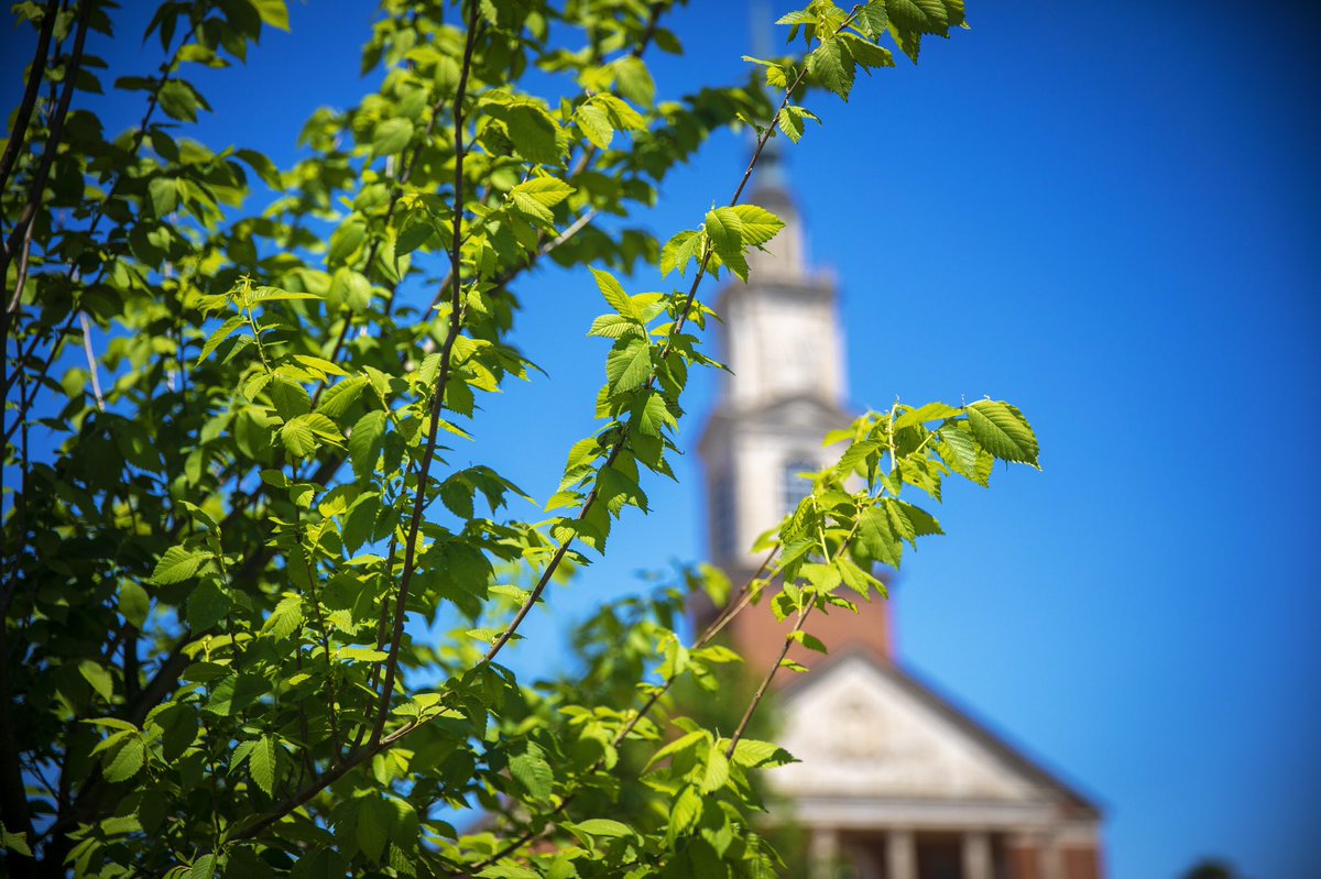 SATURDAY! 
•
Virtual Preview Day will be LIVE at 12:30 pm at okbu.edu/preview
•
Hop online from the comfort of your couch to find out how YOU fit at OBU! 
•
#dailyraley #okbu #virtualpreviewday