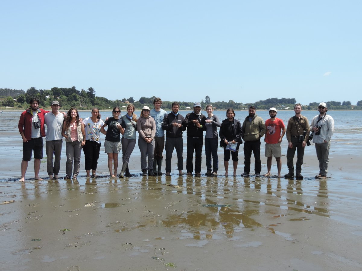 birdecologylab's tweet image. Conocimiento @UAustraldeChile colider @NRSenner colab @verdugoclaudio @EBassoQ @maculipennis_ @jennylinscott @MitchWeegman @sjctkd @VerhoevenMo @camilgherardi @ClaudioNavP @JonyquaAmado @_JSGutierrez @valearaya_ @CECPAN &amp;amp;'Mono'Ruiz+N.Mtnez-Curci+'Pipe'Abad+J.Masero+J.Gutiérrez ✌️