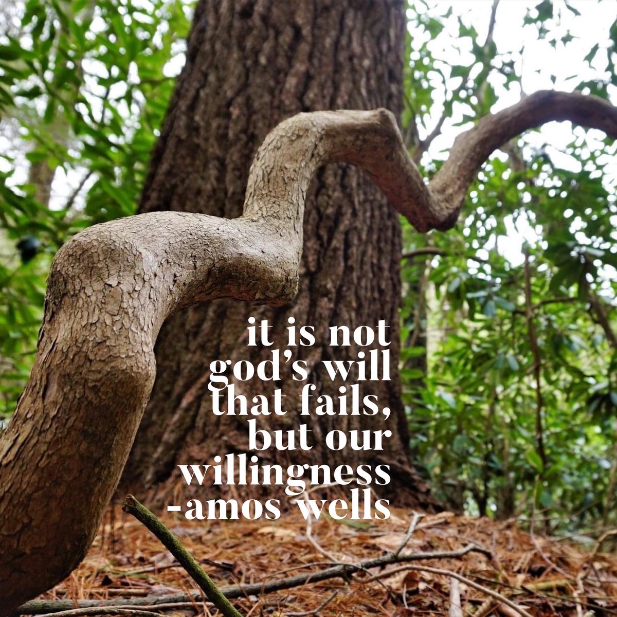 #willofgod #godswill #willing #heartofgod