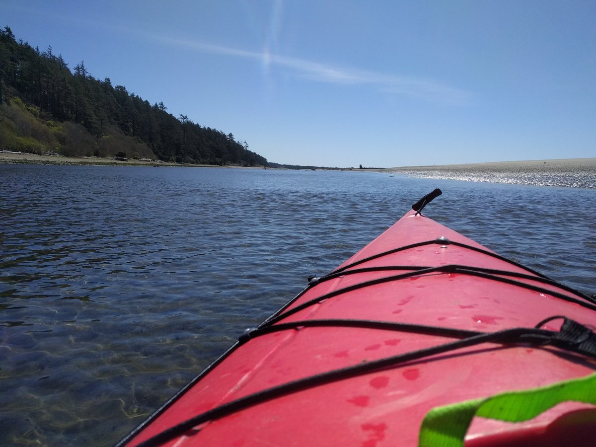 Copalis_Beach's tweet photo. #CopalisBeach #CopalisRiver #SocialIsolation #NegativeTide #kayaking #naturephotography #nature #WashingtonCoast https://t.co/NgR4qtgvuz