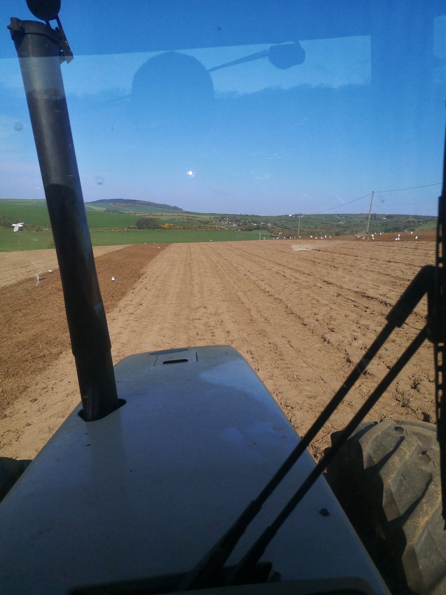 Last 22 acres of spring barley today 👌👌