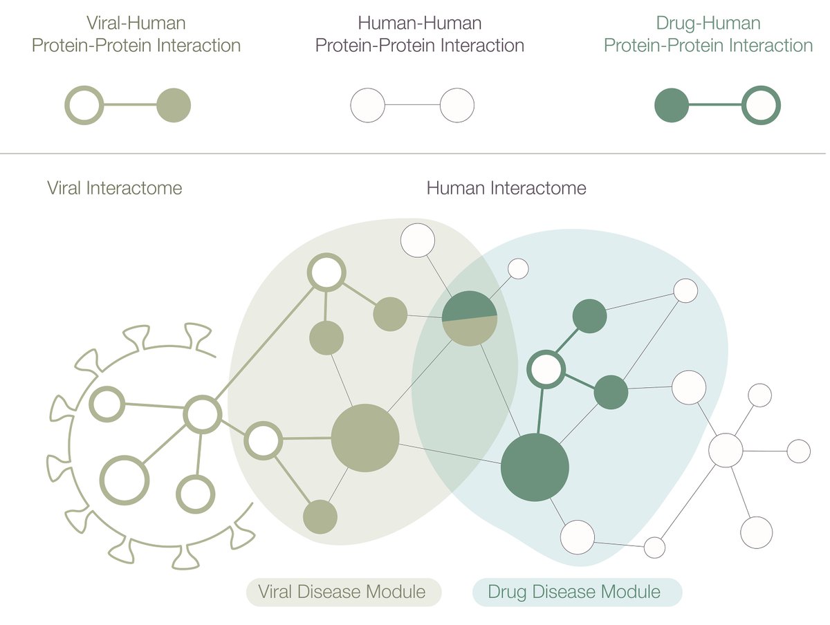 Our list of network-medicine based drug repurposing candidates for COVID-19 is finally out: arxiv.org/abs/2004.07229
We will host a journal club to discuss the findings on Monday, April 20th at 11:00 AM EST,
Register here:
northeastern.zoom.us/meeting/regist…
Some highlights next. 1/10