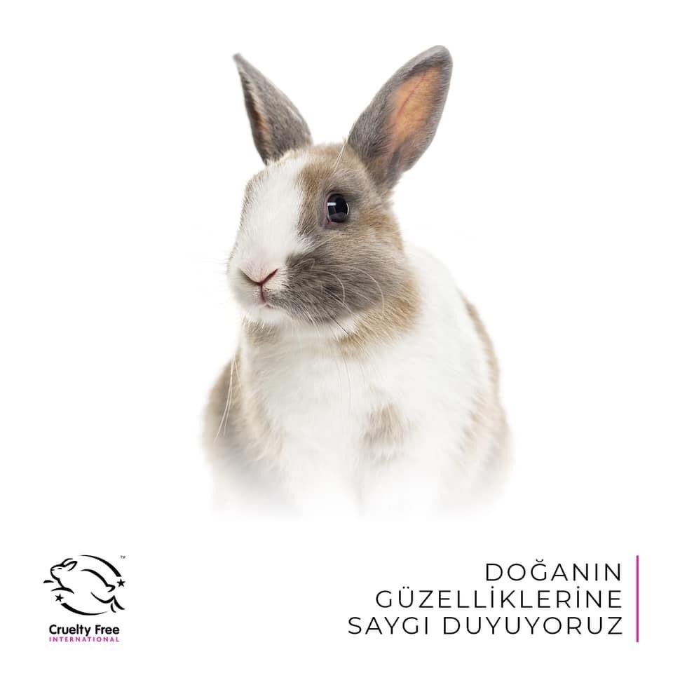 TheMASBros's tweet photo. Makeup is not about to look good but it’s about feeling good. To make you feel better and appreciate all the beauties of nature, we do not test our products on animals.
 #Crueltyfree  #nottestedonanimals  #makeup #lifestyle #animalcrueltyweek https://t.co/pxObuRlE2F