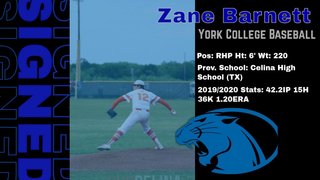 York University Baseball tweet media