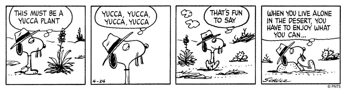 SchulzMuseum's tweet photo. 🌵 This Peanuts strip was first published on April 24, 1984.⁠
⁠ https://t.co/MoG0iJrKoG