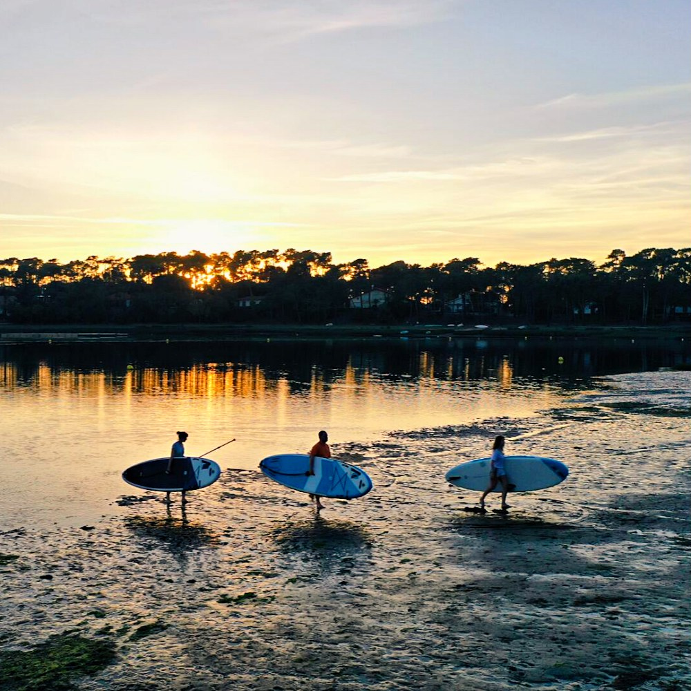 AnonymSup's tweet photo. Paddle &amp; Sunset sur le lac d'Hossegor ! 😍 •⁠
•⁠
•⁠
#anonymsup #wearewhatwesurf #supnova #supbig #sup #isup #supsession #suplife #suplifestyle #paddle #standuppaddle #supboarding #chill #goodvibes #sunset #lake #sunsetsession #hossegorlake #leslandes #landifornie #france https://t.co/L3tcx9X6AR