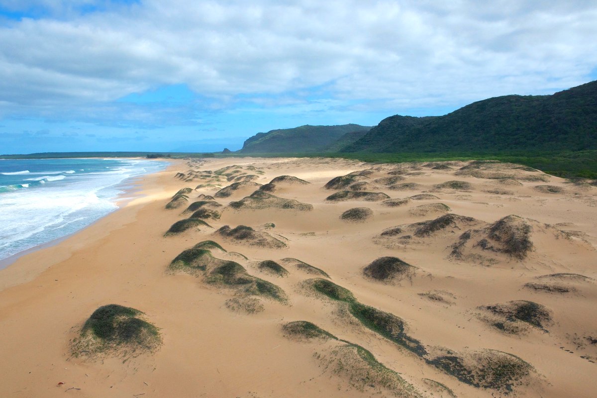 RevealedGuides's tweet photo. There's something eerie about all of Hawaii's beaches being as empty as this one...Do you know where this pic was taken? #AlohaThursday #HawaiiRevealed #TravelRevealed #planningparadise #HawaiiMakesMeSmile #LuckyWeLiveHI #IsItFridayYet #stayinside #socialdistance #COVID19 #aloha https://t.co/NDIozyNMiE