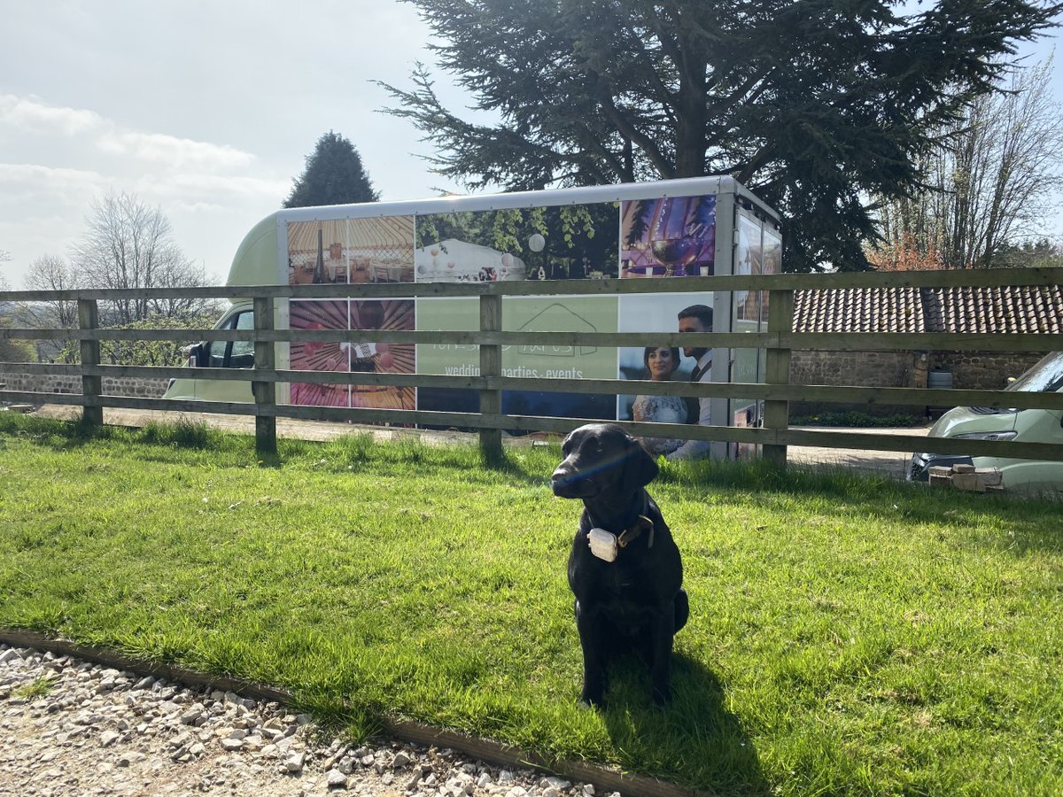 As we're halfway through National Pet Month, we thought we would share with you a picture of Teal, our very own #YurtDog!
She can't wait to be back out with our team, giving a helping paw to set up our yurts and marquees!

Share with us your photos of your own beautiful pets!