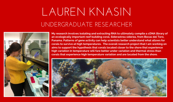 BUMPatBU's tweet photo. We love our @BU_Tweets #undergrads! Lauren Knasin (BUMP'21) works in the @thedavieslab to better understand how nearshore corals react to thermal variation and stress.
#GoBUMP #BU2024 @BU_CAS @BU_Biology https://t.co/RizHjiERp1