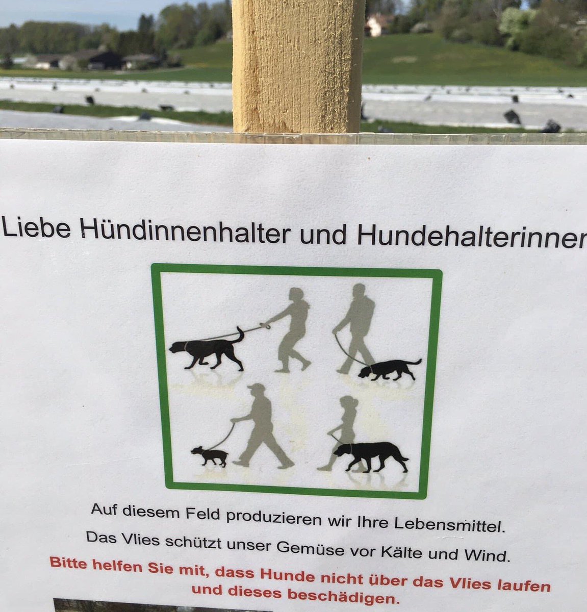 Ancient على تويتر Das Wort Hund Ist Verdammt Nochmal Neutral Mannlicher Hund Rude Weiblicher Hund Hundin Ist Ja So Als Ob Du Menschen Und Menschinnen Schreiben Wurdest T Co Bnsasazp2a