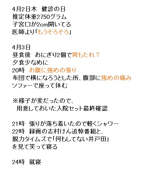 箱屋 ぴざ 娘の出産ログ 明日 お菓子でも買っとく 1時間後 破水 陣痛促進剤投与 分娩 予定日4月13日 産まれた日4月4日 退院まで面会禁止 立ち合い禁止 生後11日目 へその緒取れました 母子ともに元気です 出産 破水 分娩 初産