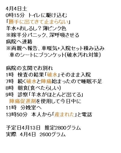 箱屋 ぴざ 娘の出産ログ 明日 お菓子でも買っとく 1時間後 破水 陣痛促進剤投与 分娩 予定日4月13日 産まれた日4月4日 退院まで面会禁止 立ち合い禁止 生後11日目 へその緒取れました 母子ともに元気です 出産 破水 分娩 初産