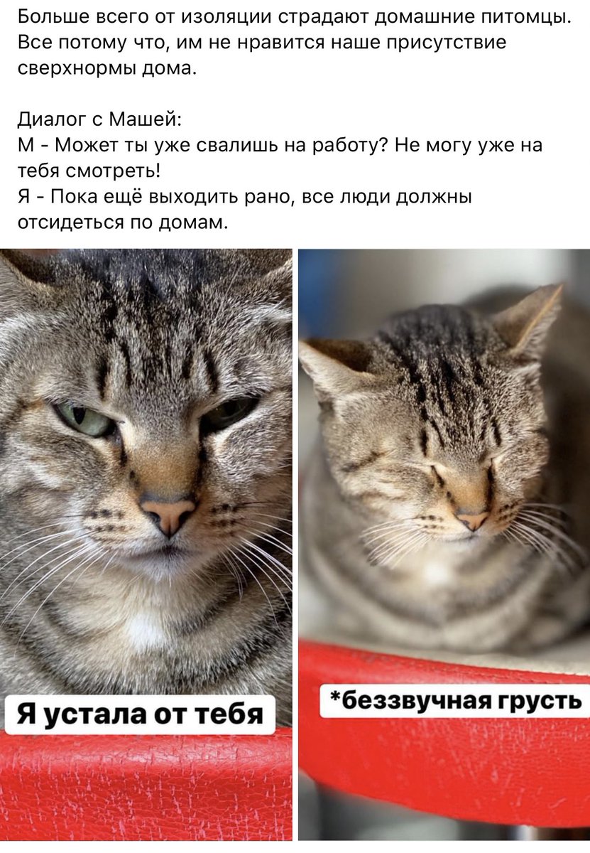 Биткоин на день рождения (@aurum19697) on Twitter photo 