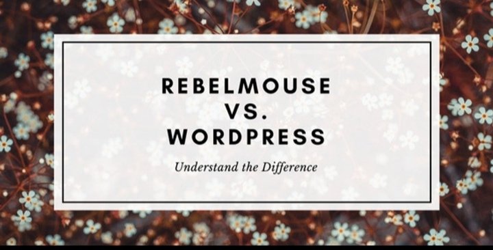 Fatima_nejati❤️ tweet media