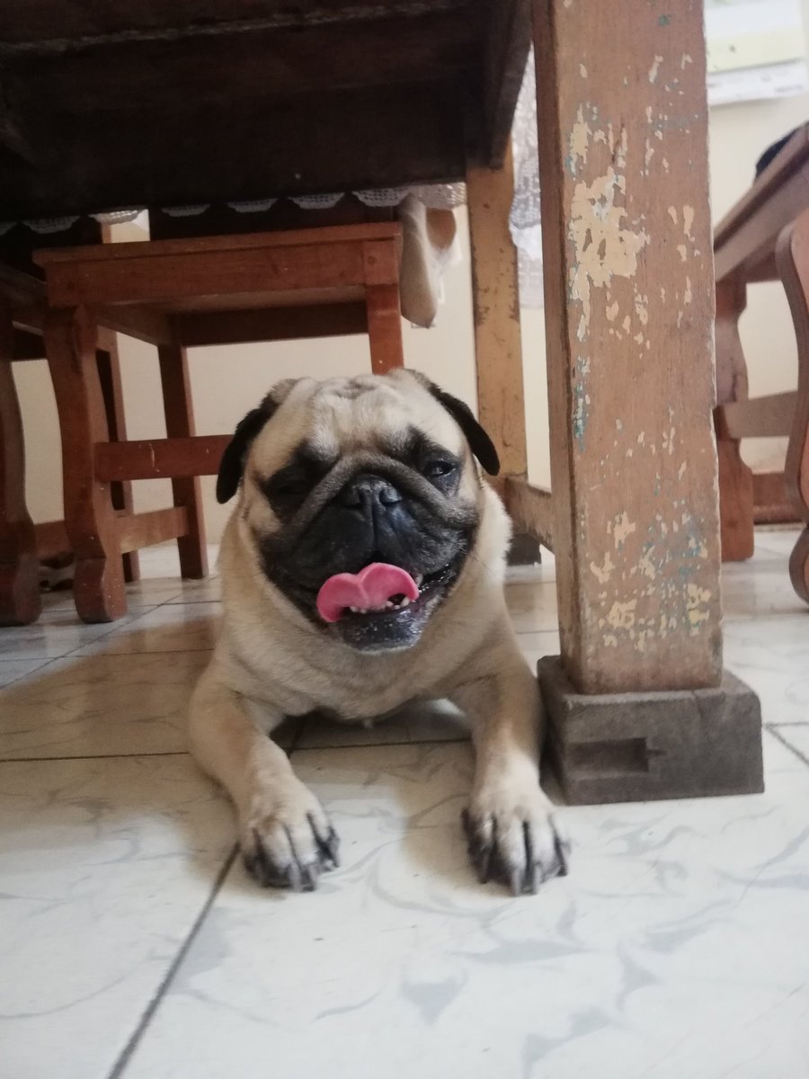 JacoB_BarriRo's tweet photo. 6 años llenos de felicidad
🤗🤗🤗🤗🤗🤗🤗🤗🤗
🎂🎂🎂🎂🎂 Gordura y felicidad....
Sí, me sé la fecha de cumpleaños de Spock y no de mis hermanos.. https://t.co/HtVMXJU2cM