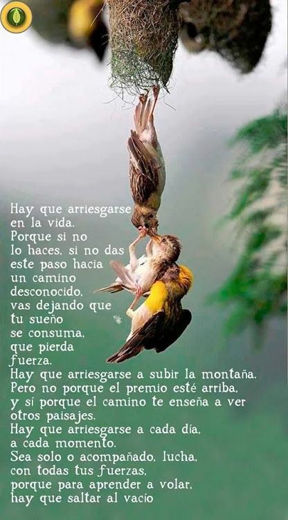 Nelitaguz. tweet media