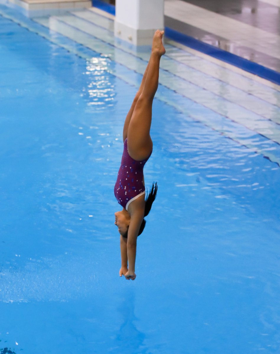 DivingQLD's tweet image. This weekend we expected to be celebrating Age Nationals here in Brisbane but it wasn’t to be💦 We are looking forward to welcoming all our Age National divers to Brisbane in 2021 💦 #divingqld #divinglife