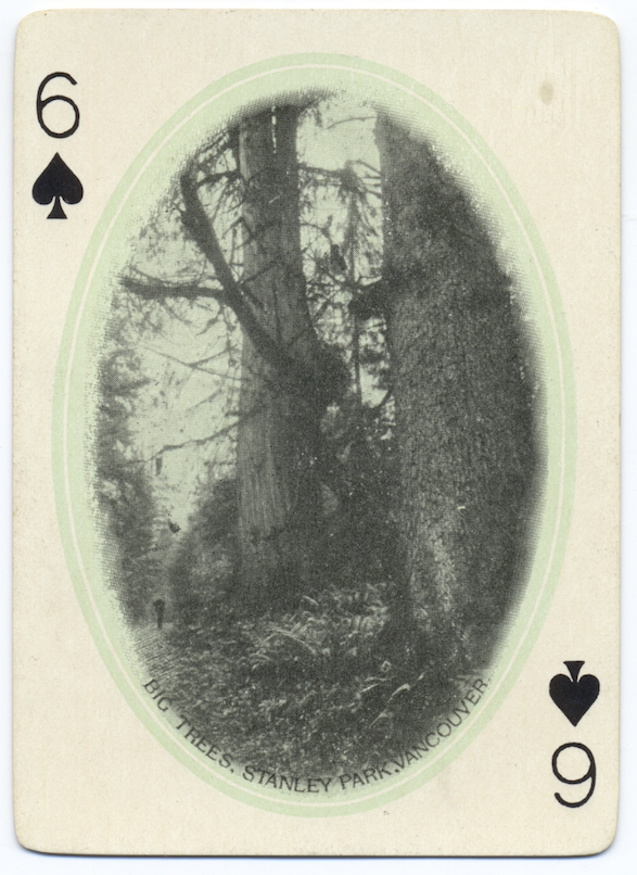 naturally, on the 6 of spades are the "big trees" in vancouver's stanley park.  @seankheraj