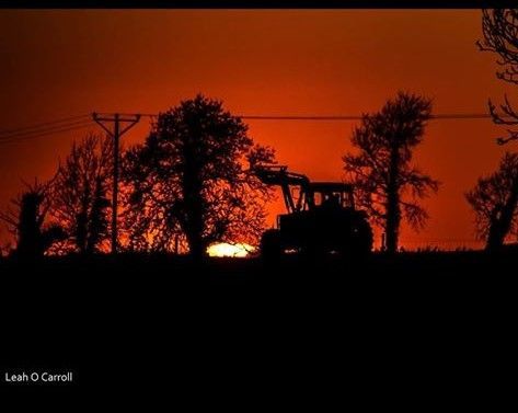 farmersjournal's tweet photo. 'A farmer gets on with his work as the sun goes down'

A beautiful photo taken by Leah O'Carroll from Patrickswell, Co Limerick📸 #FarmingFightsBack

Share your pictures with us through this link👉 https://t.co/U6t9V6gOF8 https://t.co/dj784bP5LH
