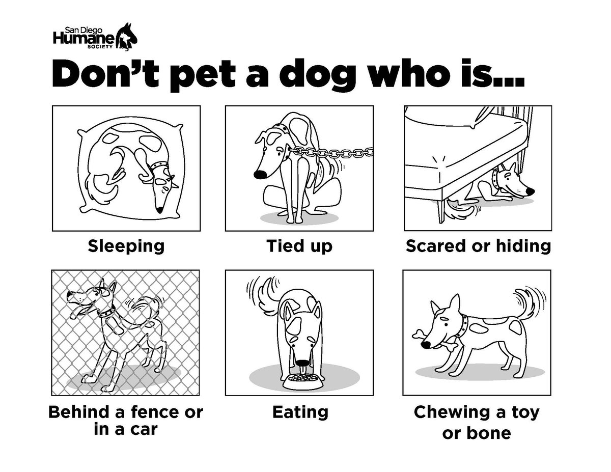 #DogBitePreventionWeek is the perfect time to remind children about safe ways to interact with dogs. Download our fun activity sheets to help teach your kids how to #PreventDogBites.
How to Meet a Dog: bit.ly/2xTV5LR
Don't Pet a Dog Who is: bit.ly/3bYi72M