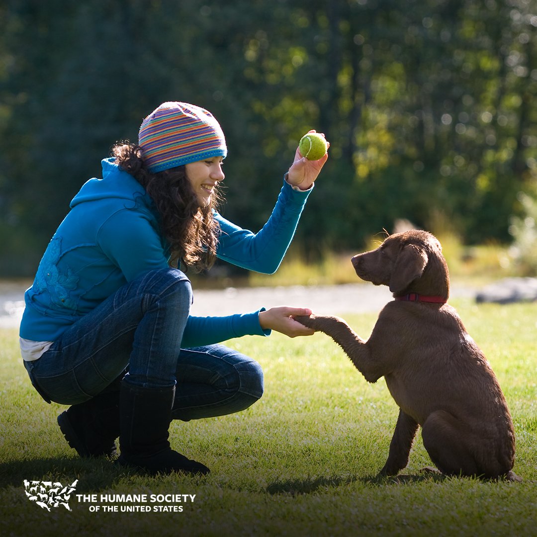 humaneworldorg's tweet photo. Looking for ways to keep your pets occupied while you’re stuck at home during the #COVID19 crisis?

✔️ Set up a scavenger hunt… with treats!

✔️ Teach your pet a new trick.

✔️ Create DIY freezer pops for your pups.

Find more inspiration here: https://t.co/Nx1gatthjI https://t.co/RGQwQnTf2n