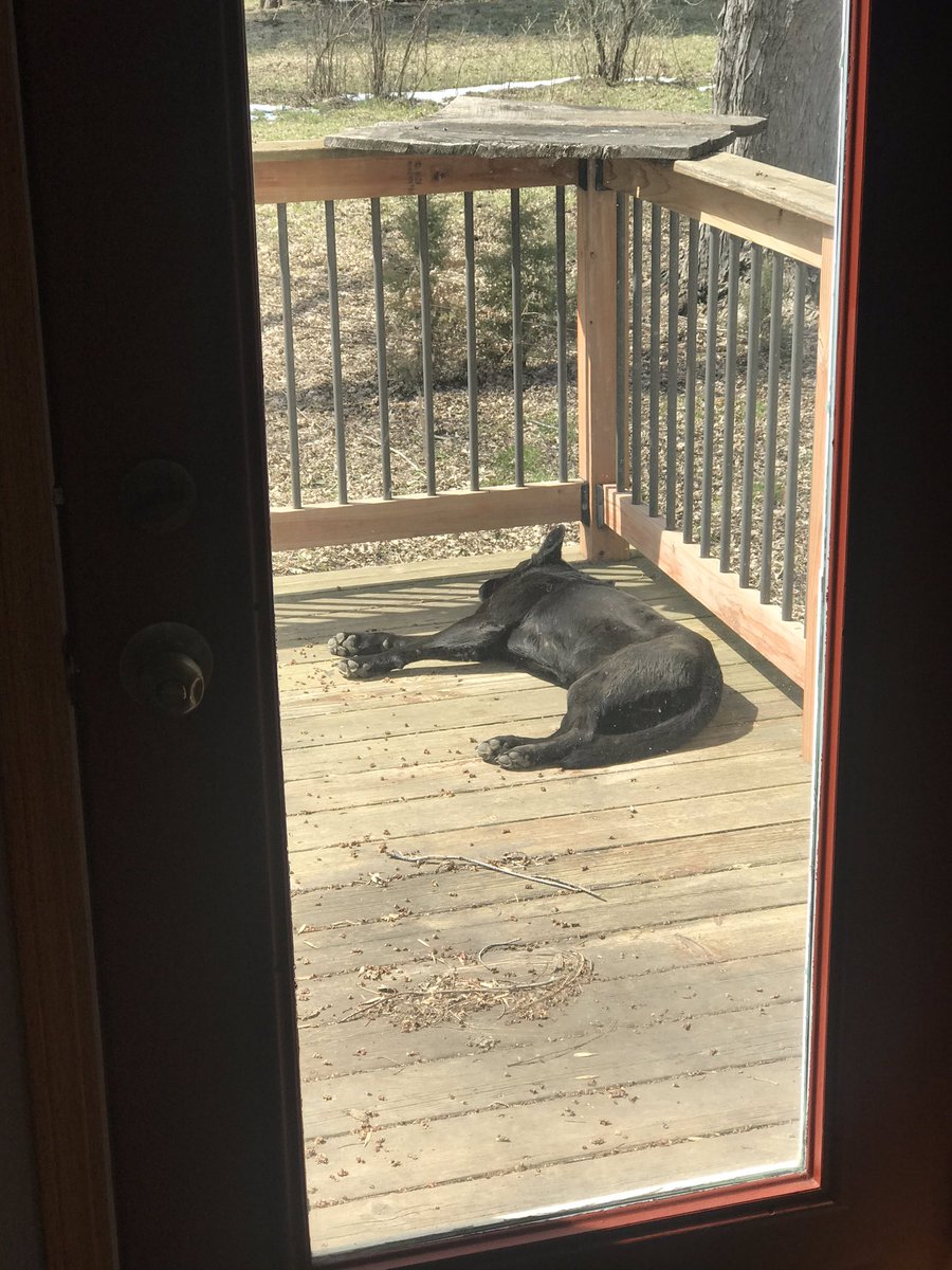 anniemschmitz's tweet photo. Must be ruff. https://t.co/uhfH4uXtK1