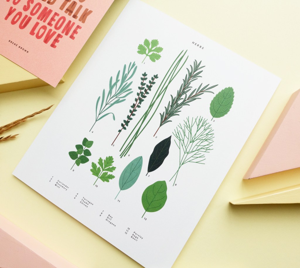 See Sarah Abbott's botanical illustration "Herbs" (AKA your new favourite cooking guide). papirmass.com/sarah-abbott-a…