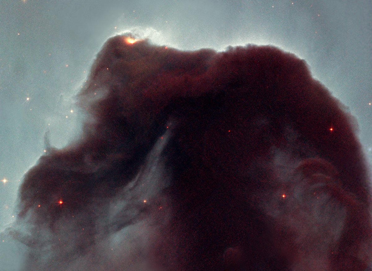 martins_yanna's tweet photo. já viu essa imagem por aí?

é a nebulosa da cabeça de 🐴 vista pelo @NASAHubble em 2001. está localizada na constelação de Orion - isso mesmo, a das 3 Marias!

é uma nuvem escura de gás e poeira de tamanho > 221000x a distância 🌎-🌞 (33 trilhões de km)!

#Hubble30
#AstroMiniBR https://t.co/ZO1x3LBlwd