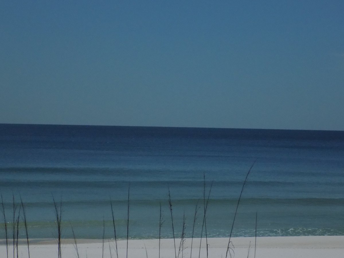 summerhousepc's tweet photo. Thought we would share some sunshine from @Visit_PCB! https://t.co/Ssxmz5lkWu