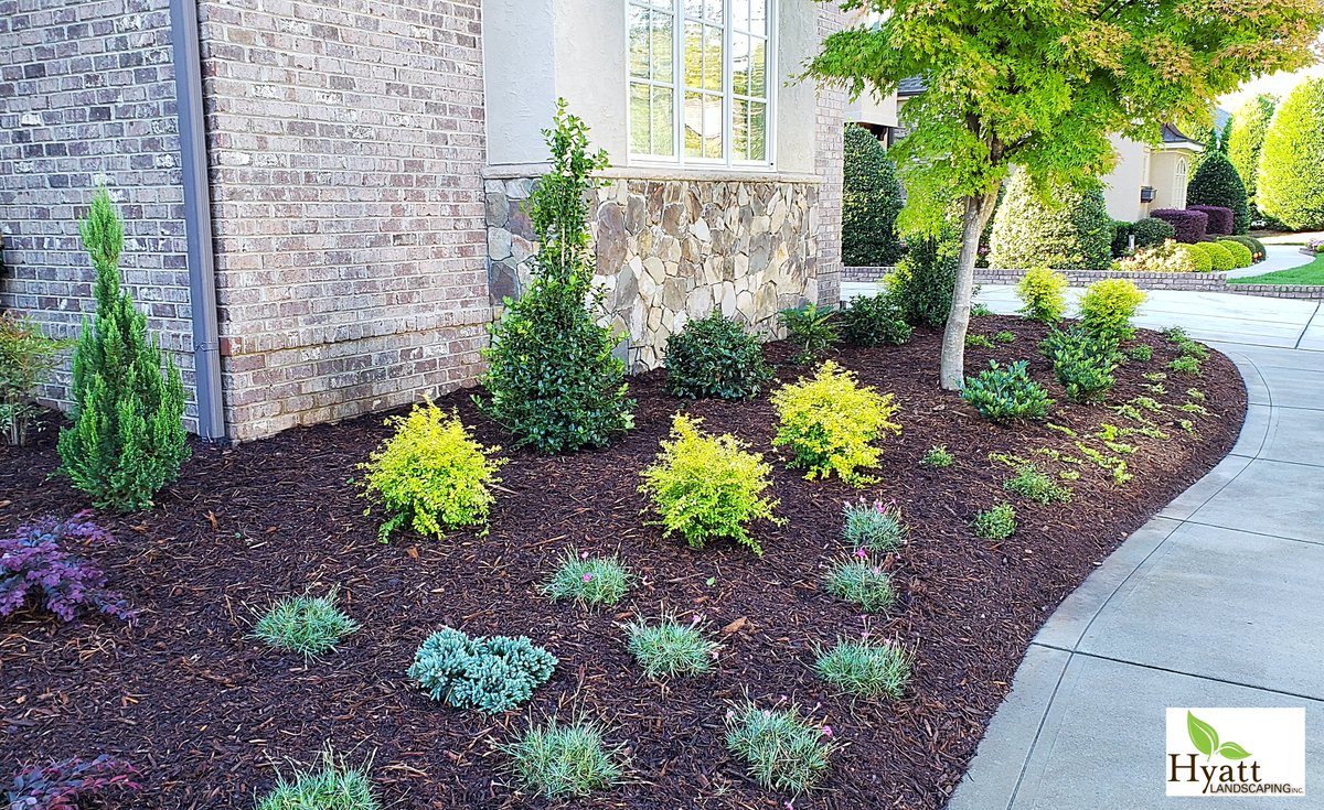 HyattLandscping's tweet photo. A home ๐กhas 4 sides. Landscaping the sides of your house can make a big difference. #customlandscaping #hyattlandscaping #charlottearealandscaper #irrigationspecialists #over40yearsofexperience https://t.co/i0a0w3zlud