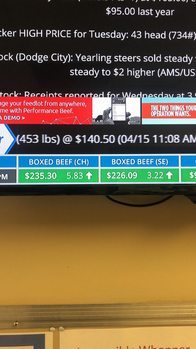 Box Beef Up strong again today