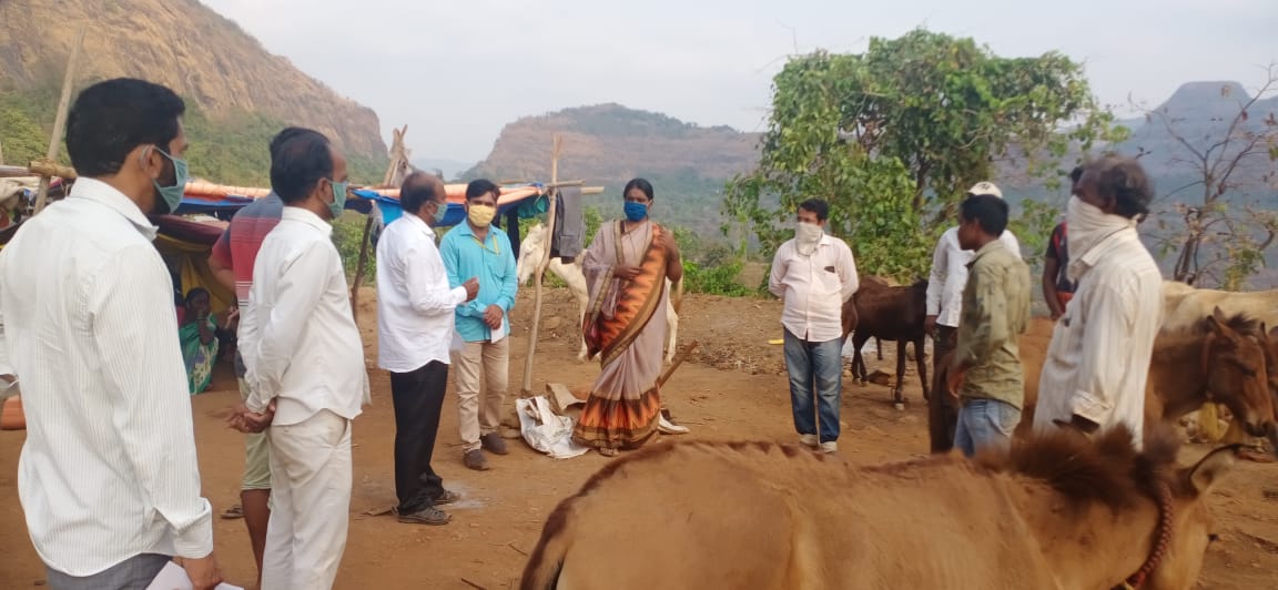 Siddhjay's tweet photo. At the base of Fort Raigad, Hirkaniwadi 70-80 donkeys are stagnated due to lockdown.Dept of Animal Husbandary, Raigad provided Dry Fodder to these animals. Veterinary services are provided during CORONA Pandemic. @CollectorRaigad @iAditiTatkare @bharanemamaNCP @Dept_of_AHD https://t.co/iA4O8MEmnz