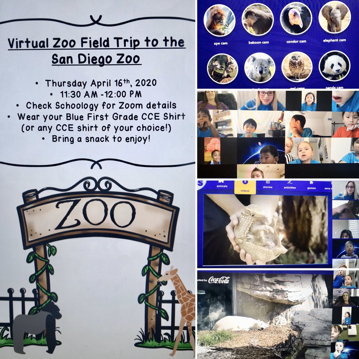 MrsRobsonsClass's tweet photo. Thank you @sandiegozoo for helping 1D take a Virtual Field Trip to the Zoo today!! It was so much fun, and we saw so many animals! It was a blast! @CCEColts @Coppellisd #ccefamily https://t.co/hHBVc0C0AK