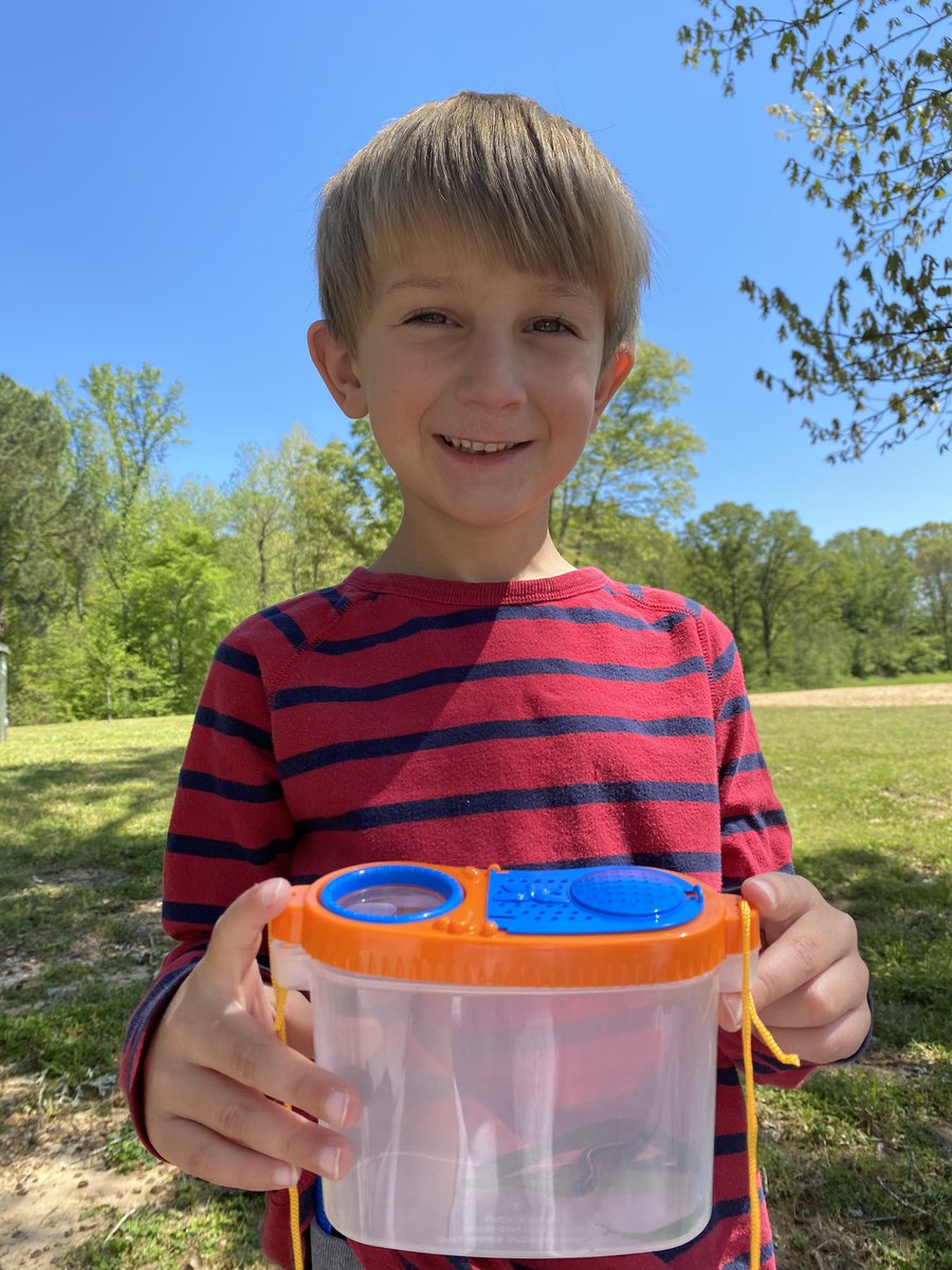 WoodsMRFirsties's tweet photo. @lps_mrswright Aaron is out exploring for caterpillars 🐛 and butterflies 🦋 #LPSRocks https://t.co/JUTbc9kUro