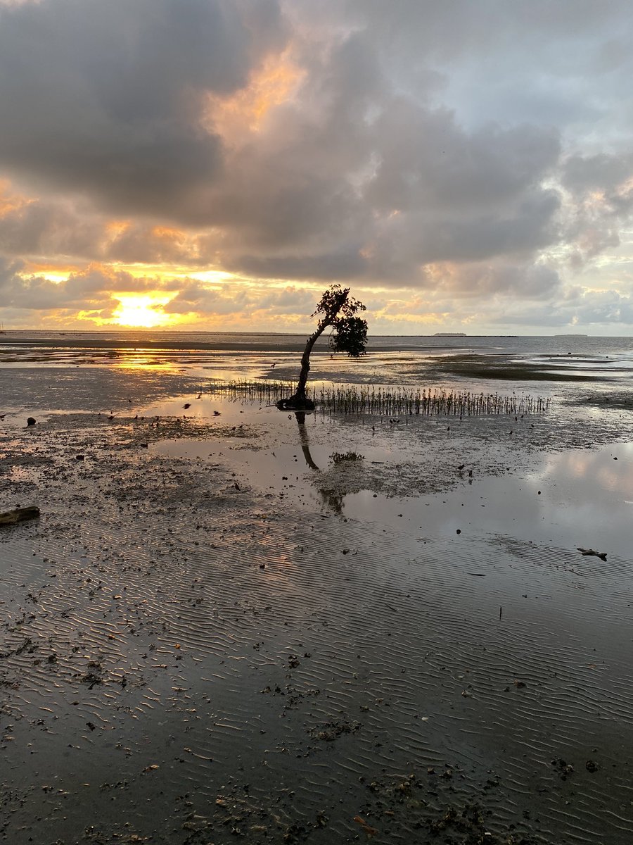 Nadokoulu's tweet photo. For COVID19, It is cool to be alone. You are never alone. This storm will pass. Social distance, stay home, personal and hand hygiene. Our weakest link is a chain connected. #BreakTheChain #Veilomani #TogetherWeCan https://t.co/kmJLHPFUIf