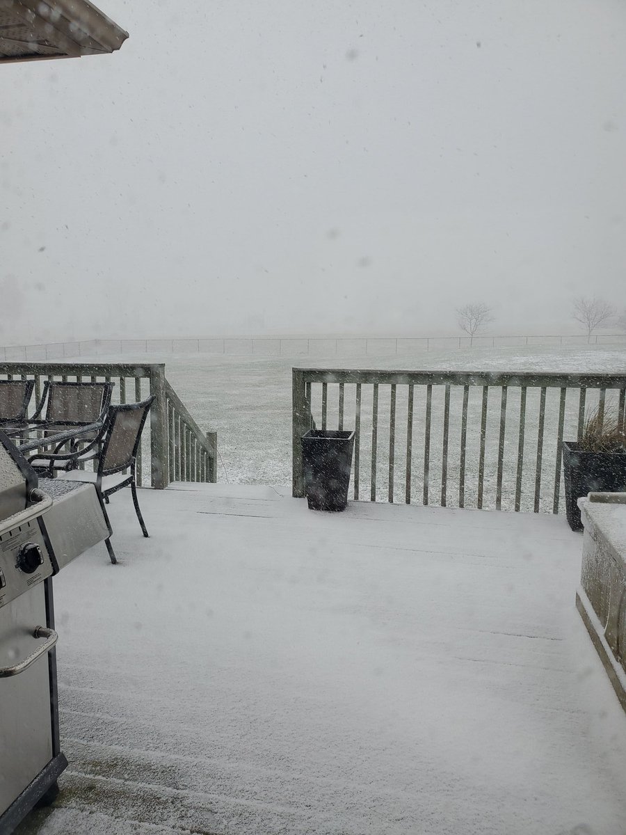 Laura Davis tweet media