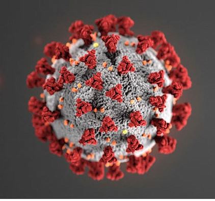 Histogenetics’ received a New York State clinical permit to become a #Covid_19 testing lab. #CoronaVirus #CoronaWillEndSoon #ThursdayMotivation