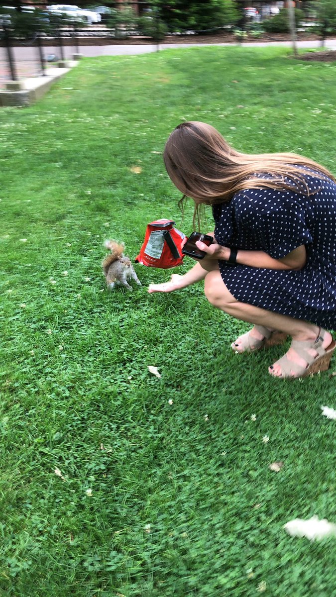 JPatanio's tweet photo. Some throwbacks to happy Non #SocialDistanacing times... feeding friendly 🐿 + making glowing 🦄 robots + bonding over #SEL...these made me smile @CGoffredoZapata @vgallassio @sunflower1967 @SGreeneD31 @Readinglady1 @Dolores_Espo #sistrongertogether #BLC19 @YaleEmotion https://t.co/DYojbnk5bX