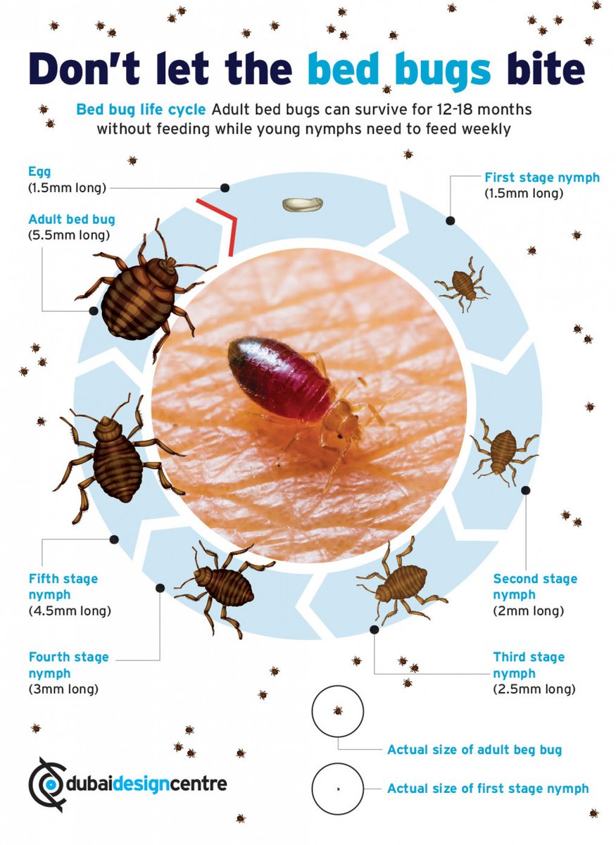 Don't let the bed bugs bite, find out how Bed Bug Treatment Pros can help you. bedbugs-treatment.co.uk