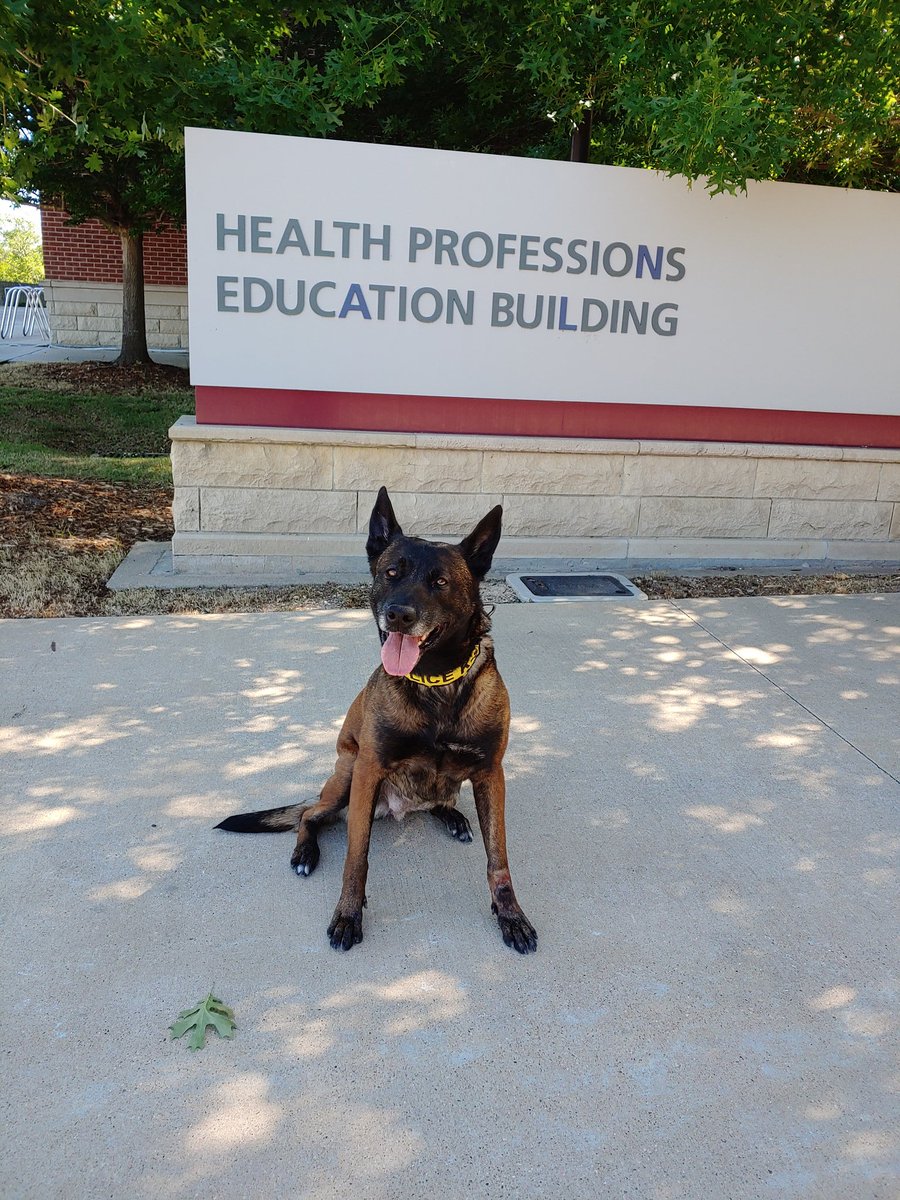 TK9jackie's tweet photo. It's a beautiful day to be hanging out with the awesome people at the @TAMUHealth. Thank you folks for what you do and to all the recently graduated and soon to graduate doctors and nurses y'all are heros https://t.co/txerpdulaI
