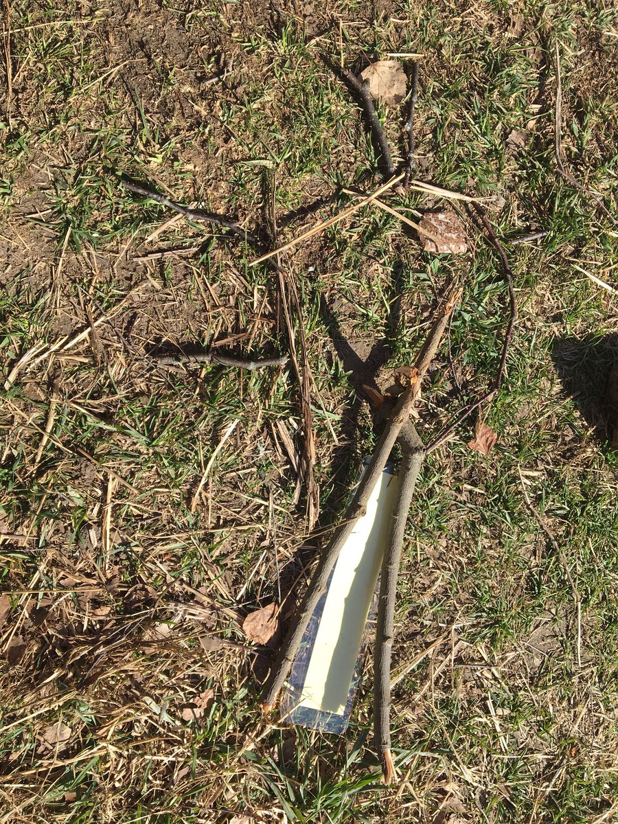 Vårens teman rullar på! Just nu med fokus på fåglar! Fågellyssning, fågelspaning, fågelbobygge och så klart lekar! #solskol #naturskolanisollentuna #fåglar