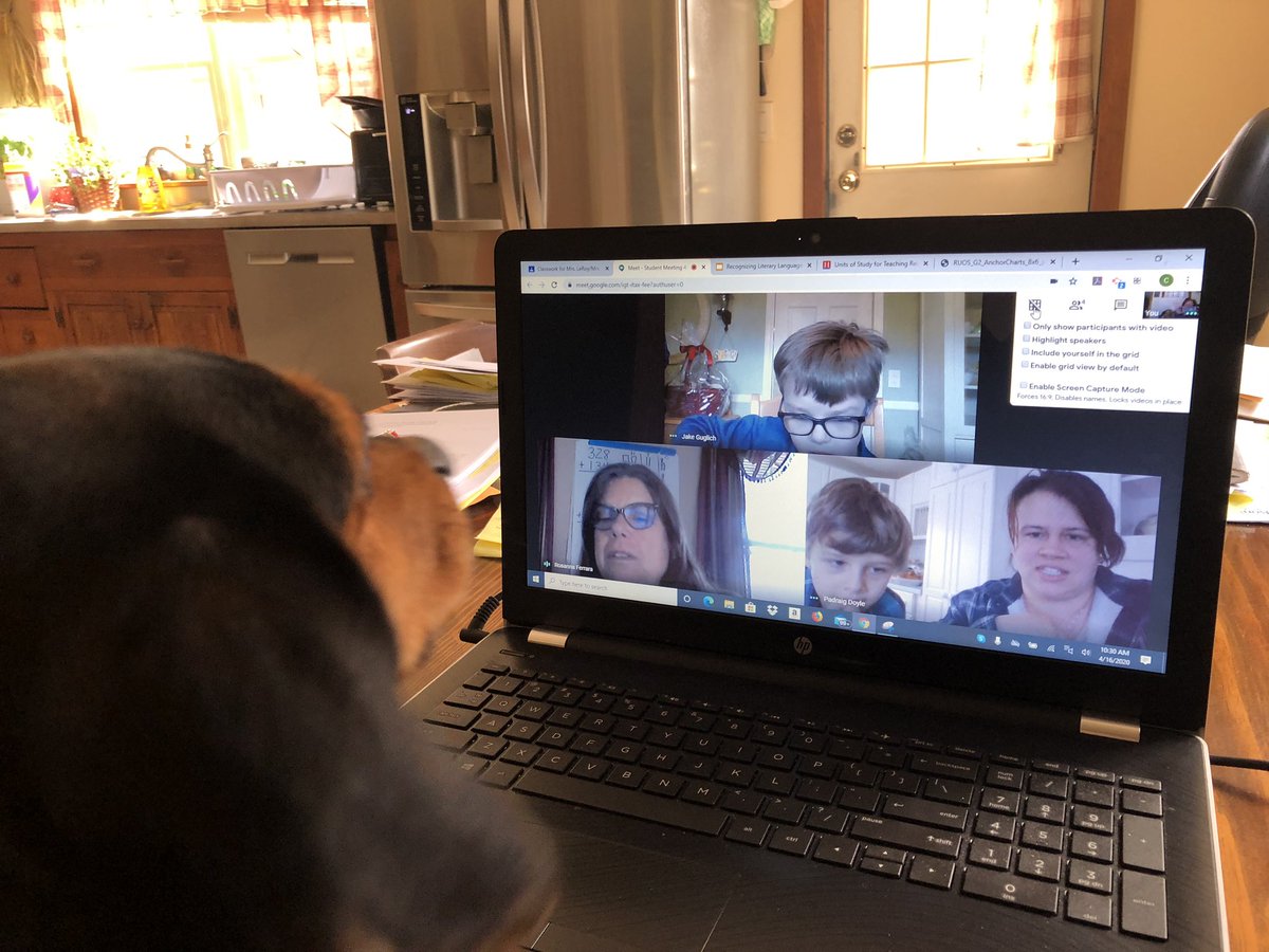 Another day at Google Meet with my dog Dallas in attendance 😂<a href="/rferrara10/">Roseanne Ferrara</a>