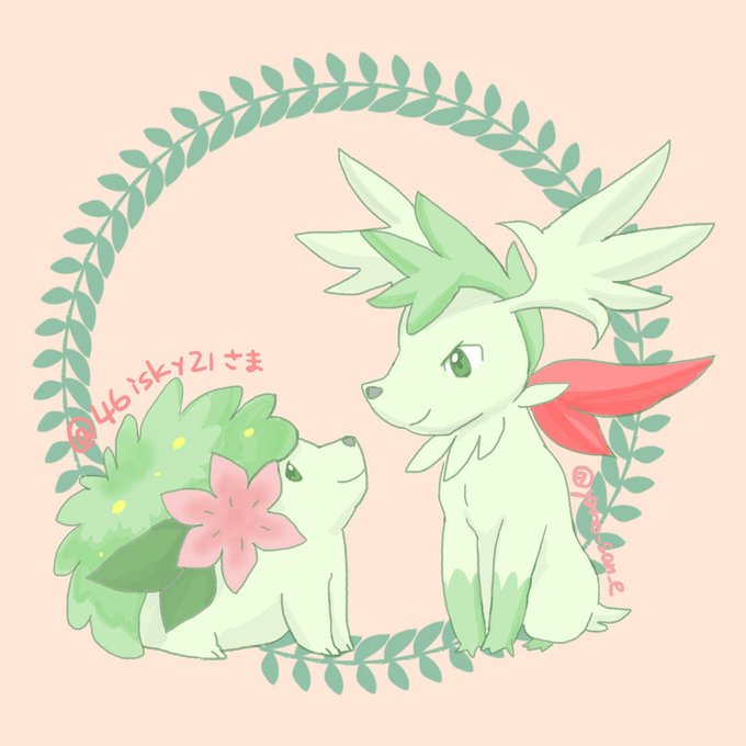 シェイミのtwitterイラスト検索結果 シェイミのtwitterイラスト検索結果