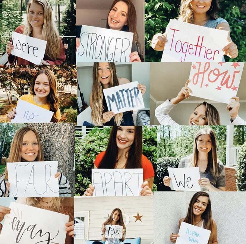 Alpha Gamma Delta tweet media