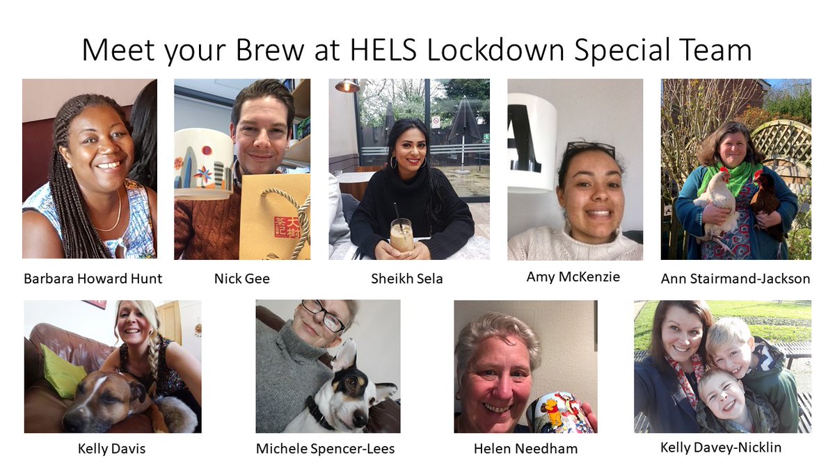 Brew at HELS tweet media