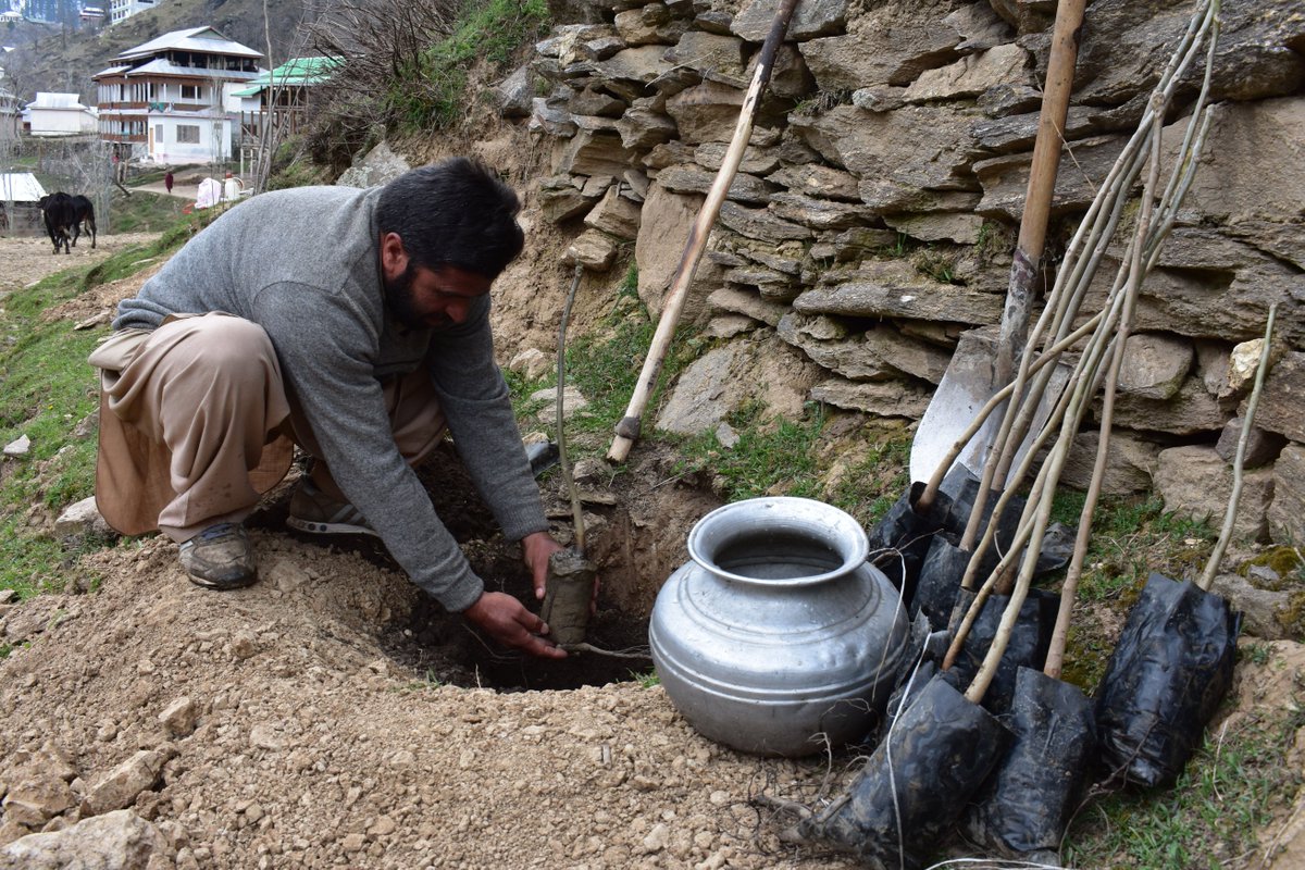 SLF_PAK's tweet photo. Under #PSLEP, #teamSLF conducted #fruit plantation activity in AJ&amp;K planting more than 17,000 fruit plants including #walnut, apple, cherry, plum and grapes. The highlight is that #women are direct beneficiaries of this activity! https://t.co/ZVUgxz2MRH