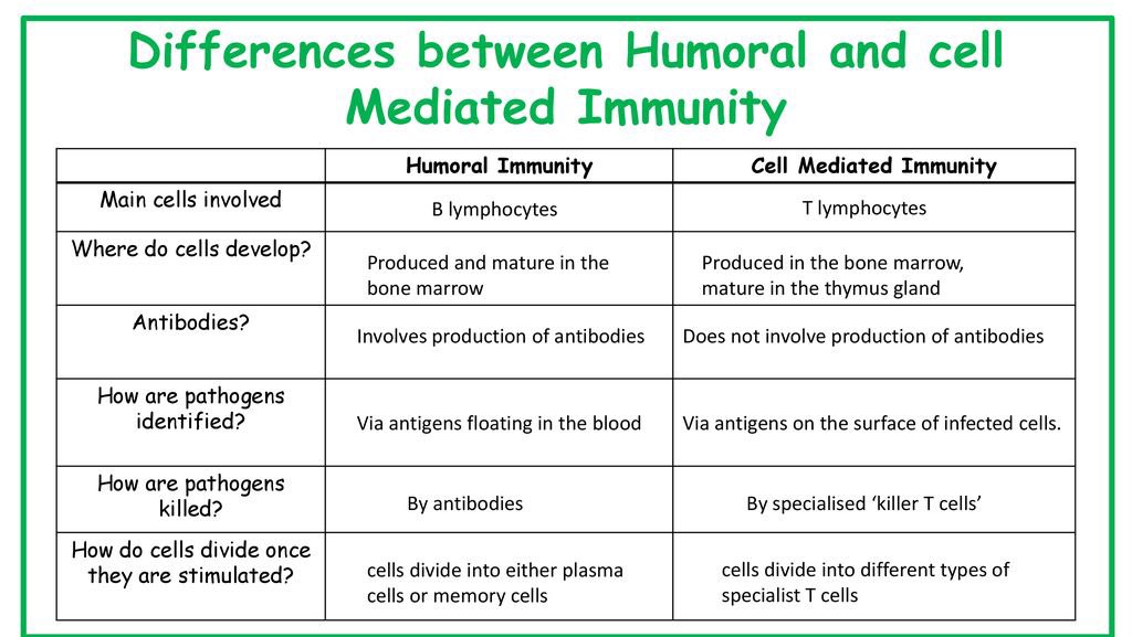 The main difference between. Difference between. Humoral Immunity. Humoral immune response. Humoral System.
