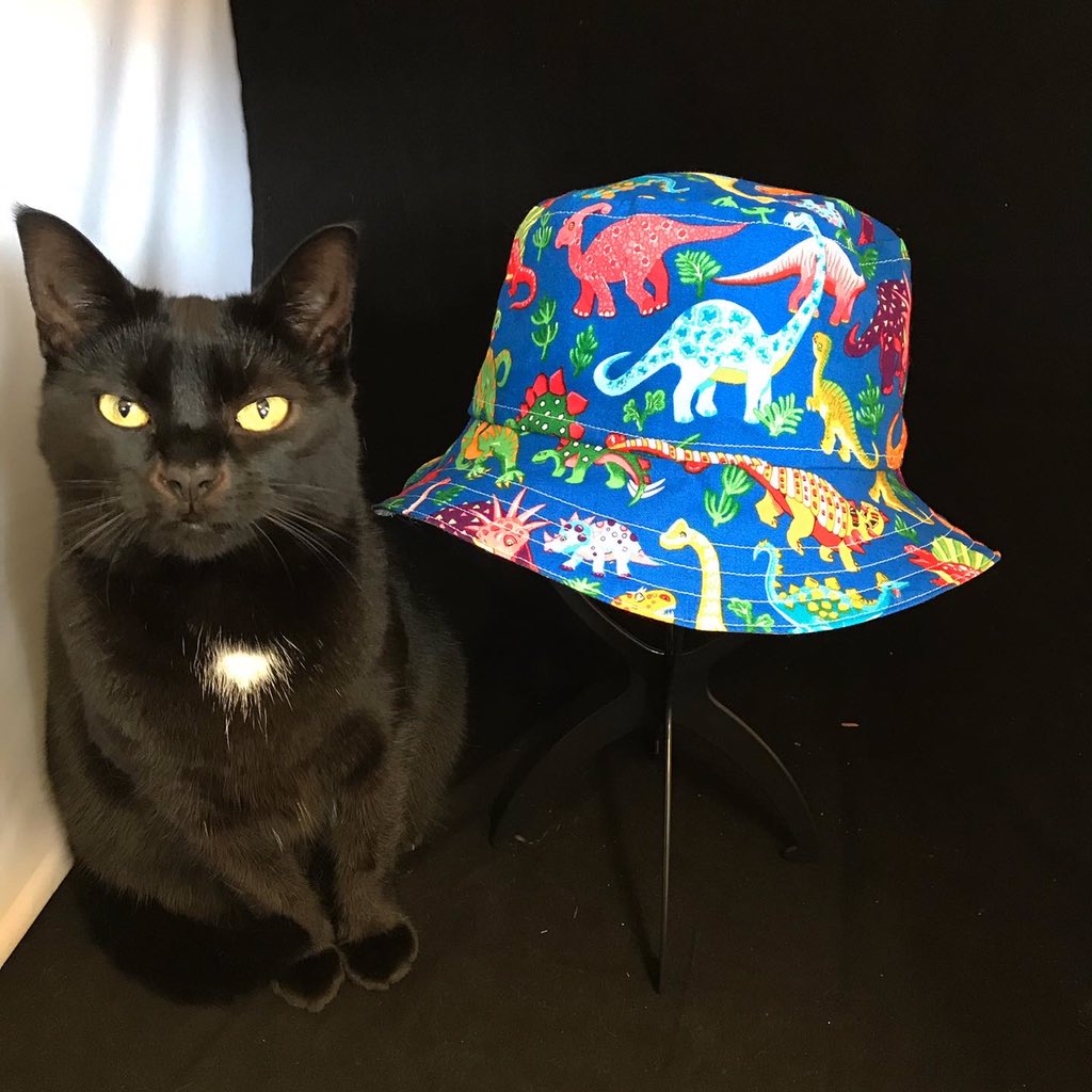 Designs By Lucy V tweet media